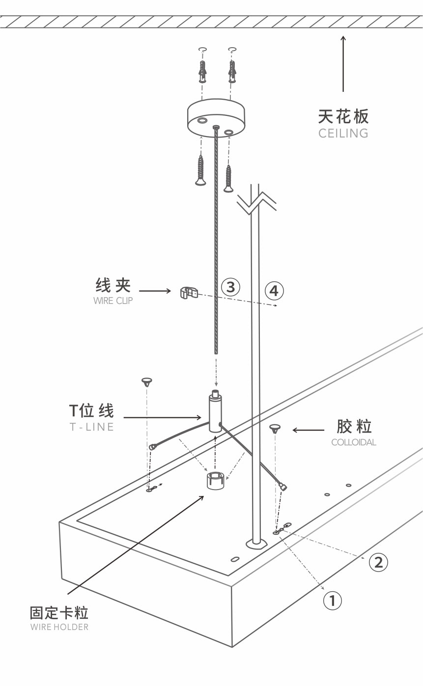 21-DX1-XQ2.jpg